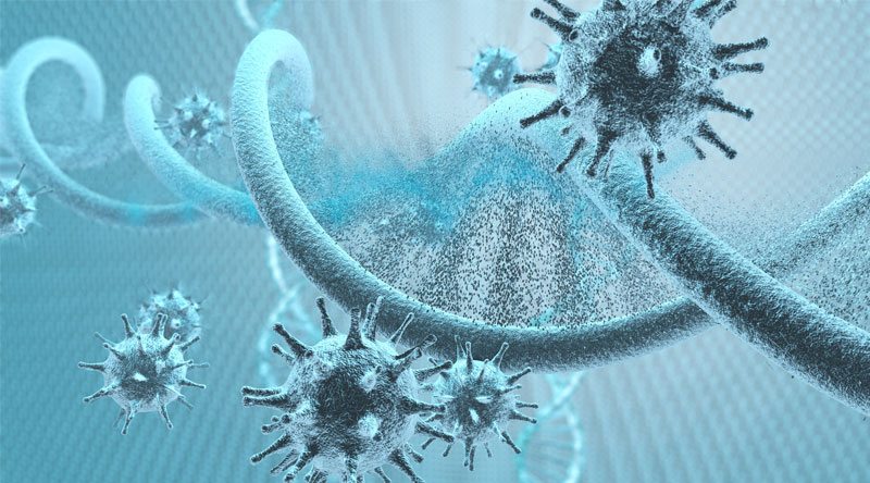 Boosting Your Immune System is Your Best Defense Against the Coronavirus