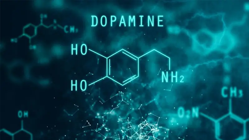 Semaglutide and dopamine system