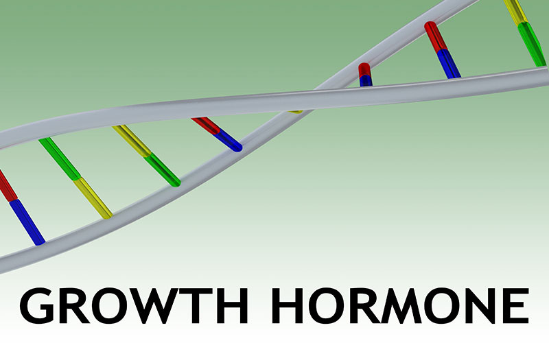 Function of HGH