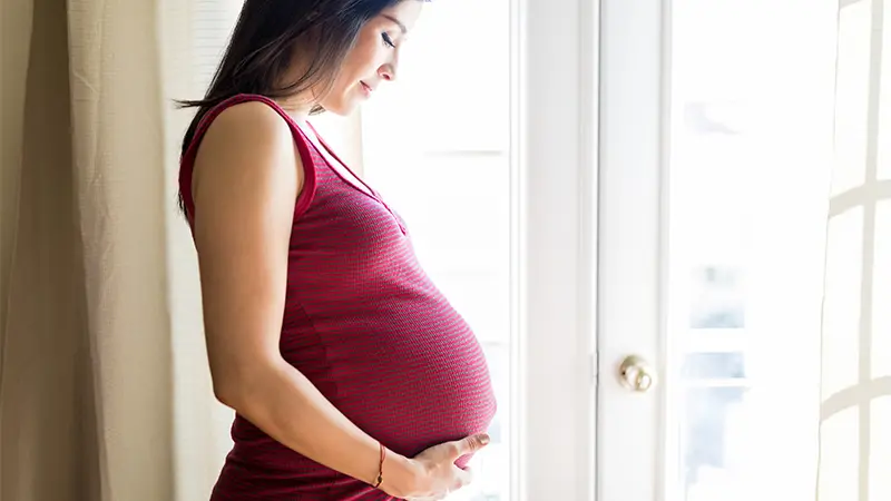 Semaglutide contraindications regarding pregnancy